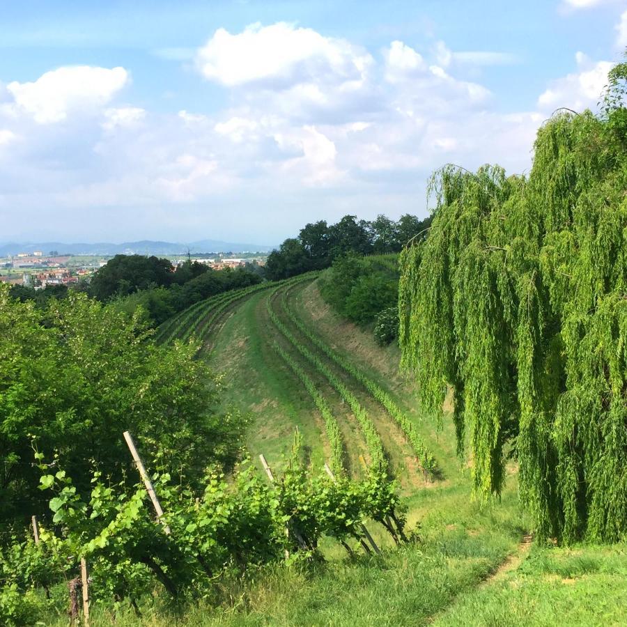 Il Convento Di Villa San Fermo ลูนิโก ภายนอก รูปภาพ