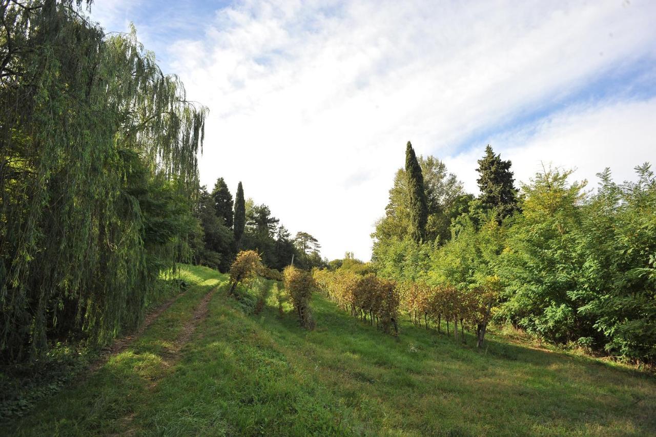 Il Convento Di Villa San Fermo ลูนิโก ภายนอก รูปภาพ